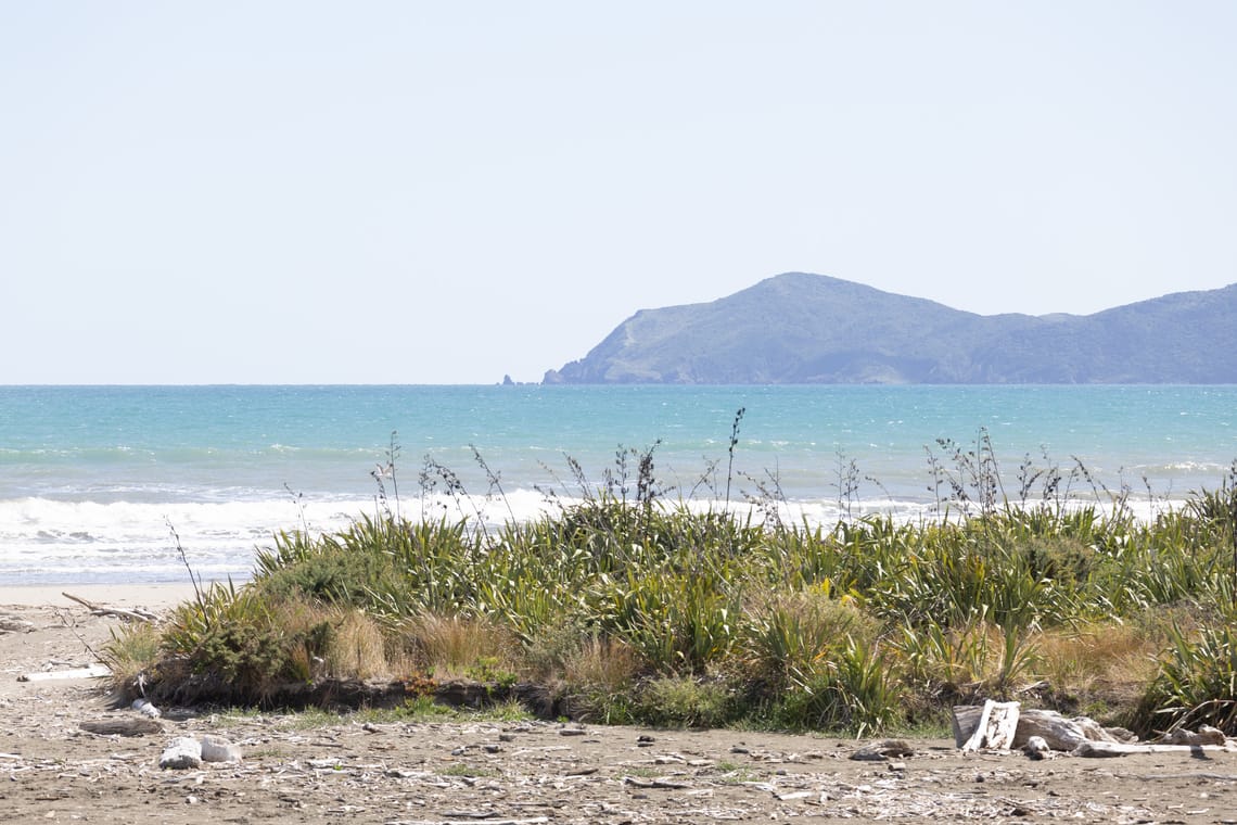 Beach view of Kapiti Island